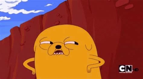 Jake The Dog GIFs | Tenor