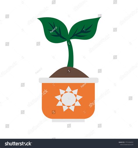 Phases Plant Growing Planting Tree Infographic Stock Vector Royalty