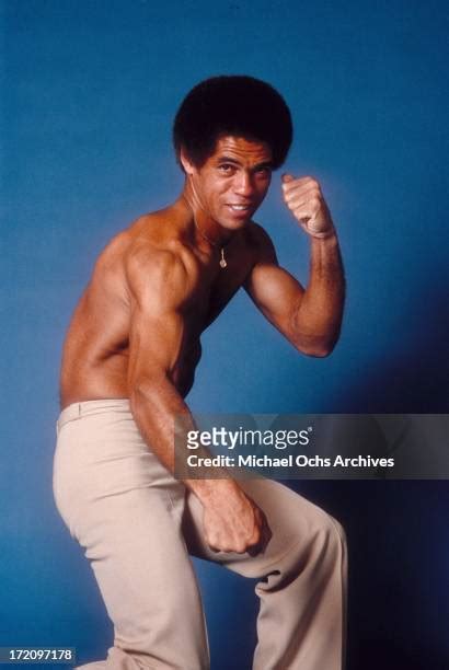 61 Jim Kelly Martial Artist Stock Photos High Res Pictures And