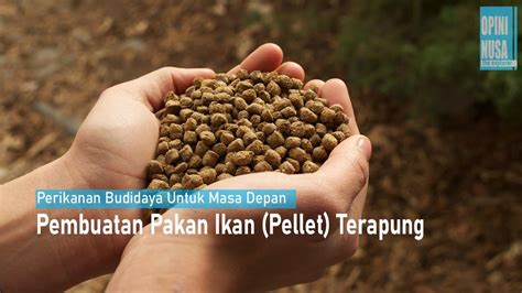 Cara Membuat Pakan Ikan Pembuatan Pakan Ikan Pelet Apung Youtube