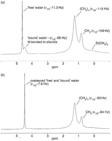 A Mhz H Mas Nmr Spectrum Of Activated C Bonded Silica Spin