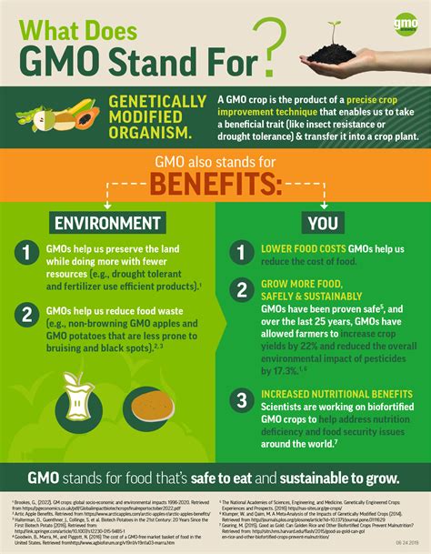 Infographic Gmo