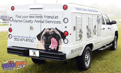 Marion County Animal Services Back | BB Graphics & The Wrap Pros