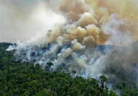 Acre Registra Mais De 400 Focos De Queimadas Em Apenas 24h E Tem 2º