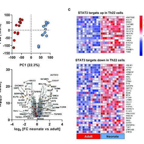 Genome Wide Gene Expression Comparison Identifies A Unique