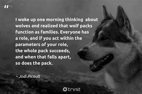 39 Inspiring Wolf Pack Quotes to Live by