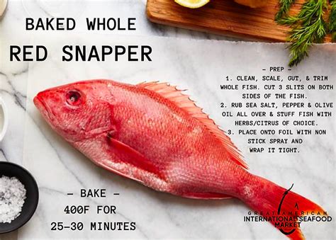 What Is Red Snapper 46 OFF Oceanproperty Co Th