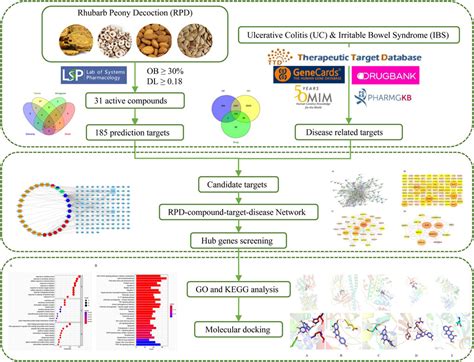 Frontiers Publishing Partnerships Network Pharmacology And Molecular