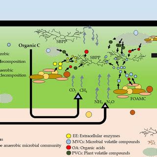 Proposed Pathogen Control Mechanism S Simplified During Asd The