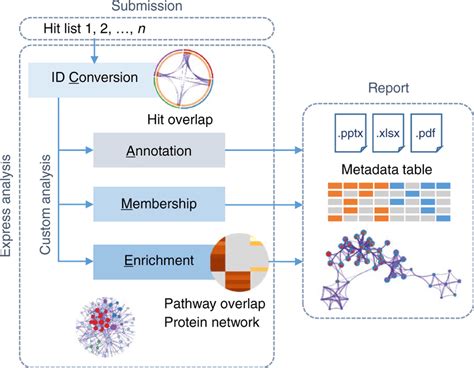 Schematic Outline Of The Metascape Analysis Workflow Upon Gene List