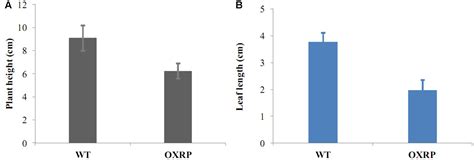 Frontiers Over Expression Of Ejlfy 1 Leads To An Early Flowering Habit In Strawberry Fragaria