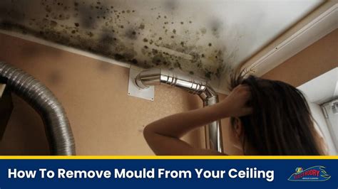 How To Remove Mould From Your Ceiling Get Rid Of Ceiling Mould