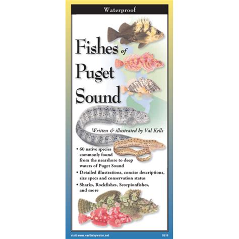 Fishes Of Puget Sound Earth Sky Water