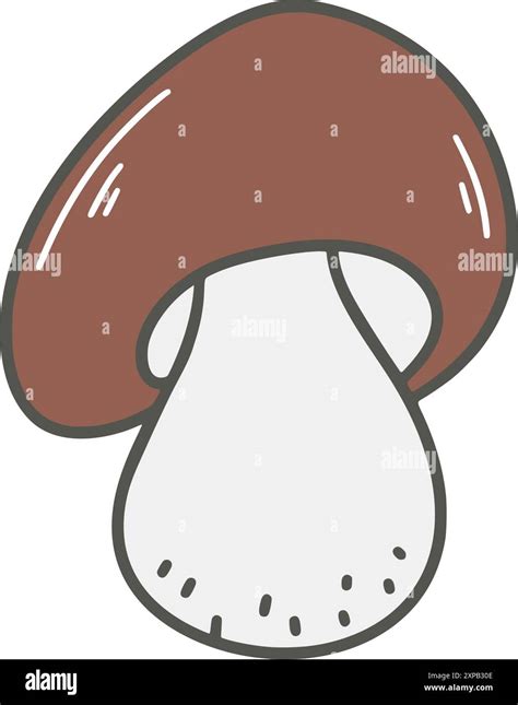 Hand Drawn Boletus Clip Art Illustration Porcini Edible Forest White