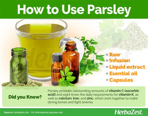 Parsley Herbazest