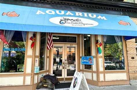 40 Fun Things To Do In Hendersonville Nc Apples And More