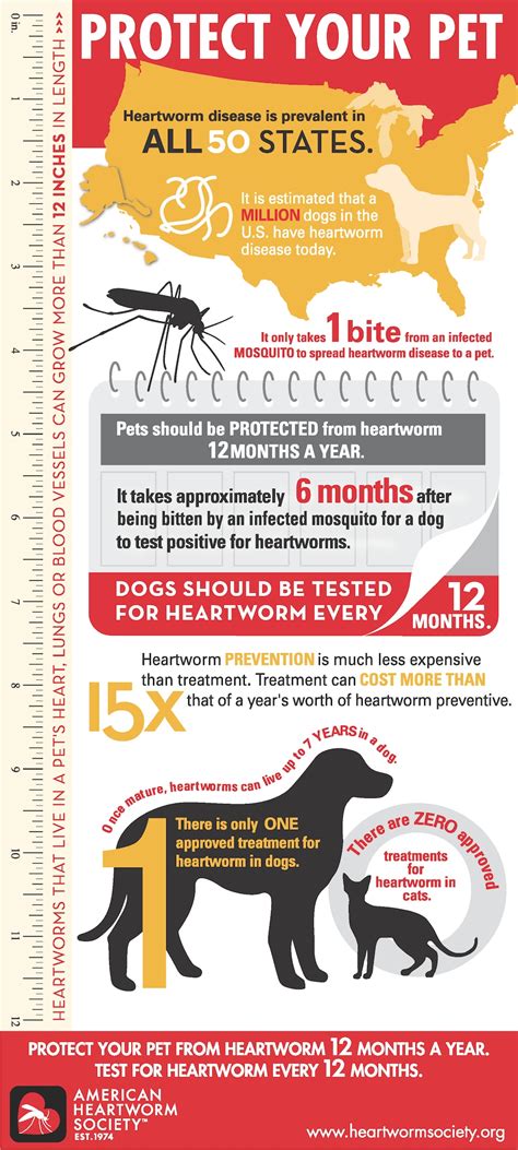 Enemies Approaching Is Your Pet Protected From Heartworms Offutt