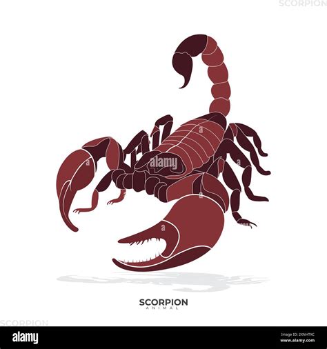 Scorpion Scorpion Icon Giant Scorpion Scorpion Animal Animal Icon