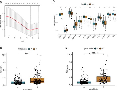 Frontiers Molecular Subtypes And Tumor Microenvironment Infiltration