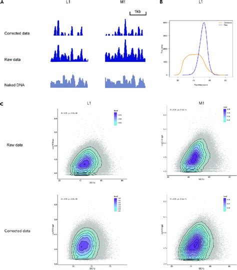 Naked DNA Correction Significantly Improves The Accuracy Of Nucleosome