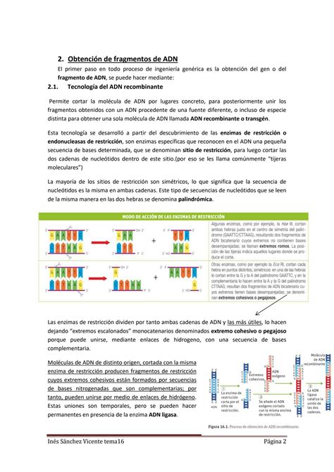 Solution Tema El Adn Y La Ingenier A Gen Tica Studypool