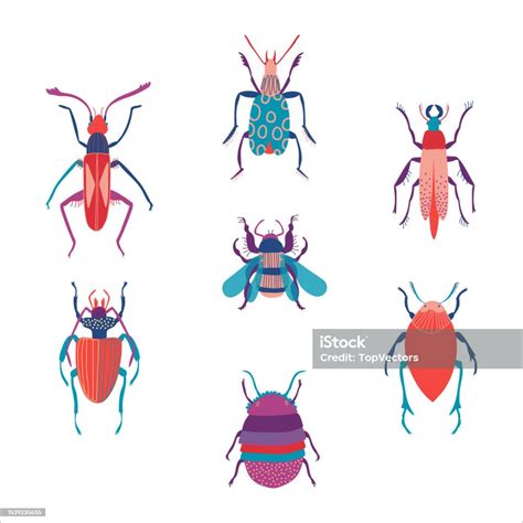 Set Serangga Berwarnawarni Yang Lucu Entomologi Hutan Liar Serangga