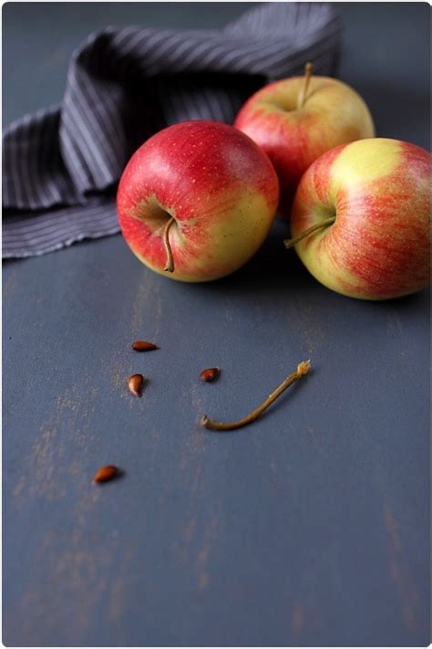 Compote de pommes au miel et fève Tonka chefNini