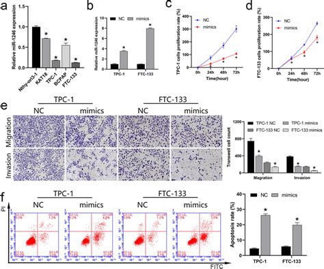 Effect Of MiR 1246 On Cell Function Of Thyroid Cancer Cell Lines A