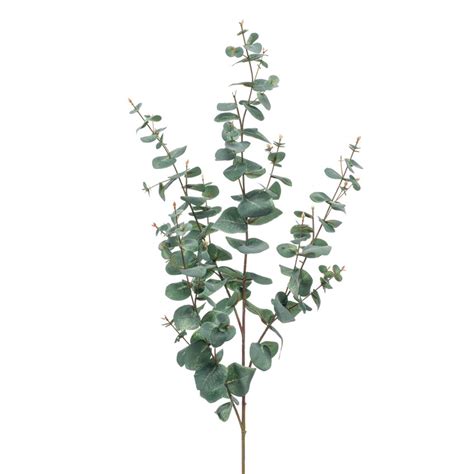 Eucalyptus Tak Grijs Pot Vaas Sfeermakers