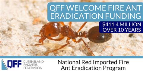 Funding For Fire Ant Eradication Welcomed Queensland Farmers Federation