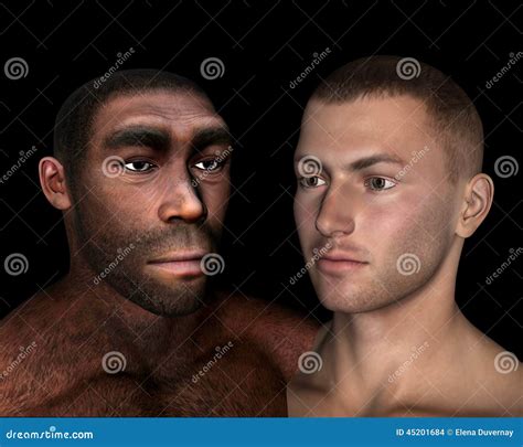 Homo Erectus Et Comparaison De Sapiens 3D Rendent Illustration Stock