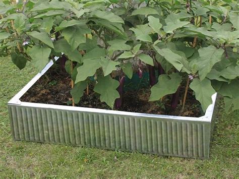 Square Galvanised Raised Garden Beds Durable Planters