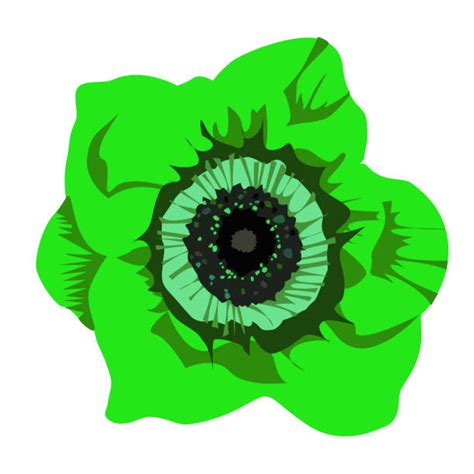 50 Grafiken Lizenzfreie Vektorgrafiken Und Clipart Zu Mohnblume