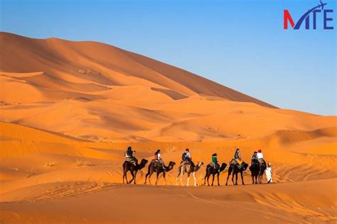 Viagem De 3 Dias Ao Deserto A Partir De Marrakech 2024