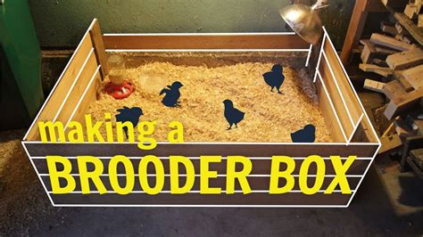 Making A Brooder Box Youtube