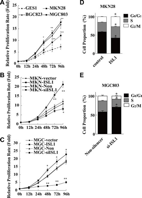 Isl1 Promoted Gc Cell Proliferation A C The Cell Proliferation Rate