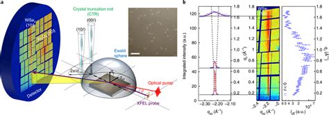 Experimental Set Up And Static Surface X Ray Diffraction A A Schematic