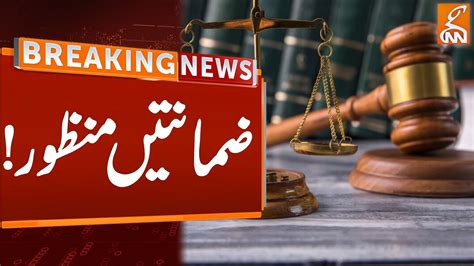 Big News Court Granted Bail Breaking News Gnn Youtube