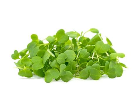 Products - Vertical Farms Ltd