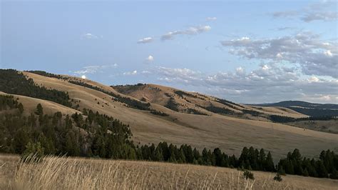 Home The Montana Hunting Outfitters