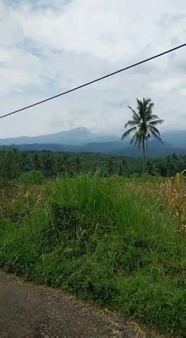 Pemandangan Di Desa Sentul Kec Panti Jember YouTube