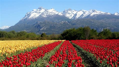 Qué hacer en Chubut los mejores atractivos para visitar en la provincia