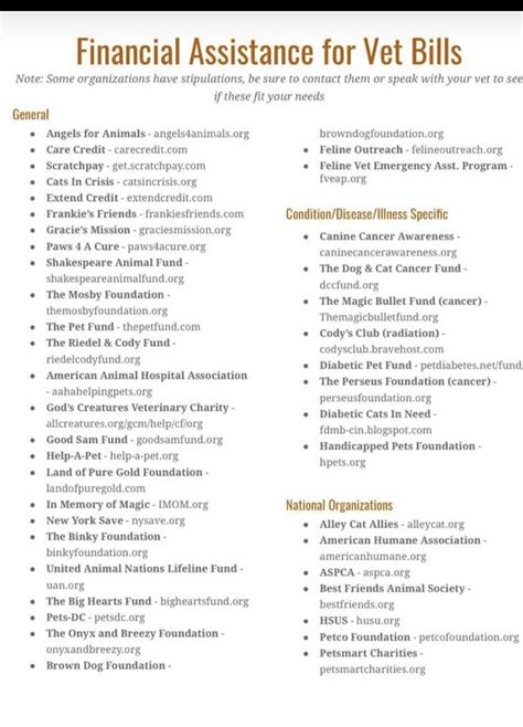 Pet Health: Financial Assistance for Vet Bills