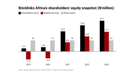 Bricklinks Africas Shareholder Equity Rises 17 In One Year