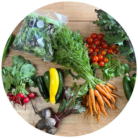 food grower academy learn   grow food   level