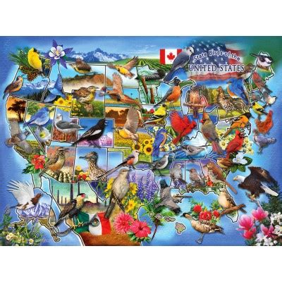 Oiseaux d État des États Unis 1000 Teile SUNSOUT Puzzle acheter en