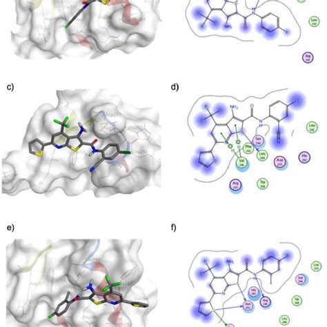 Docking Poses And Ligand Interaction Diagrams For Compounds FDI 6 1