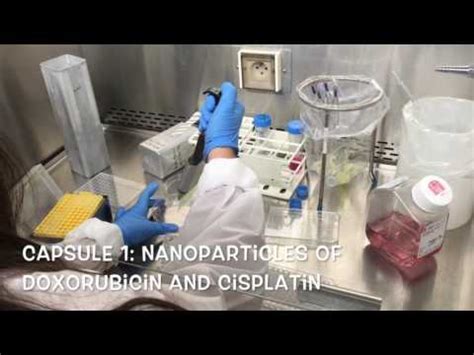 Cytotoxicity proofs of the nanoparticles - YouTube