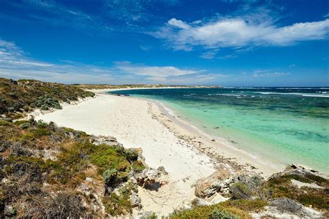 Rottnest Island Entre Quokkas E Outros Esp Ritos Abor Genes Austr Lia