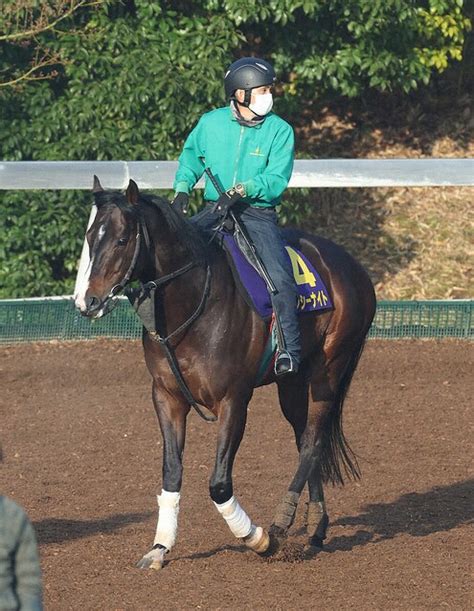 【画像】【高松宮記念】ピクシーナイト圧勝再現！理想的な11番枠、逃げ馬不在で先行争いも対応 ライブドアニュース